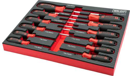 Screw-Mate®; Juego Profesional de Destornilladores Torx de 12 Piezas