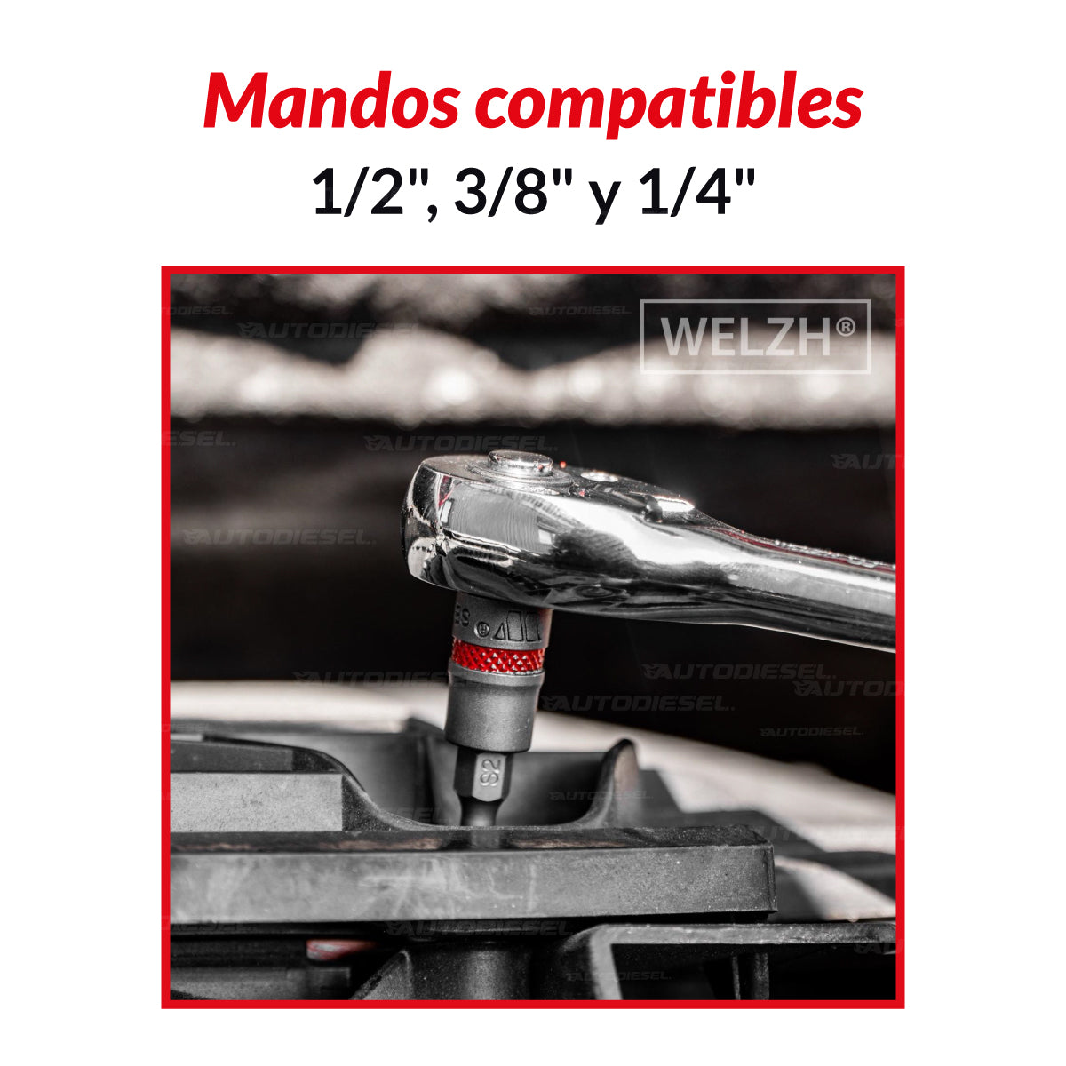 Juego de Dados con Puntas Torx Bit, Acero SE-V, T6-T70 1165-1-WW