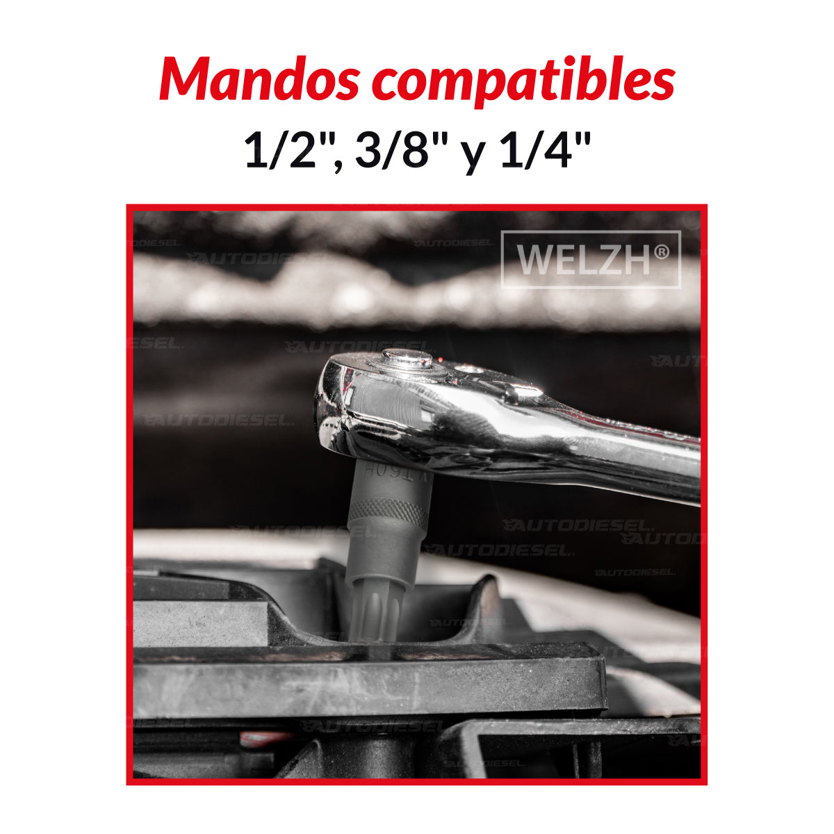 Juego puntas Torx de 12 piezas T8H-T60H S2 Acero zincado 1165-3-WW