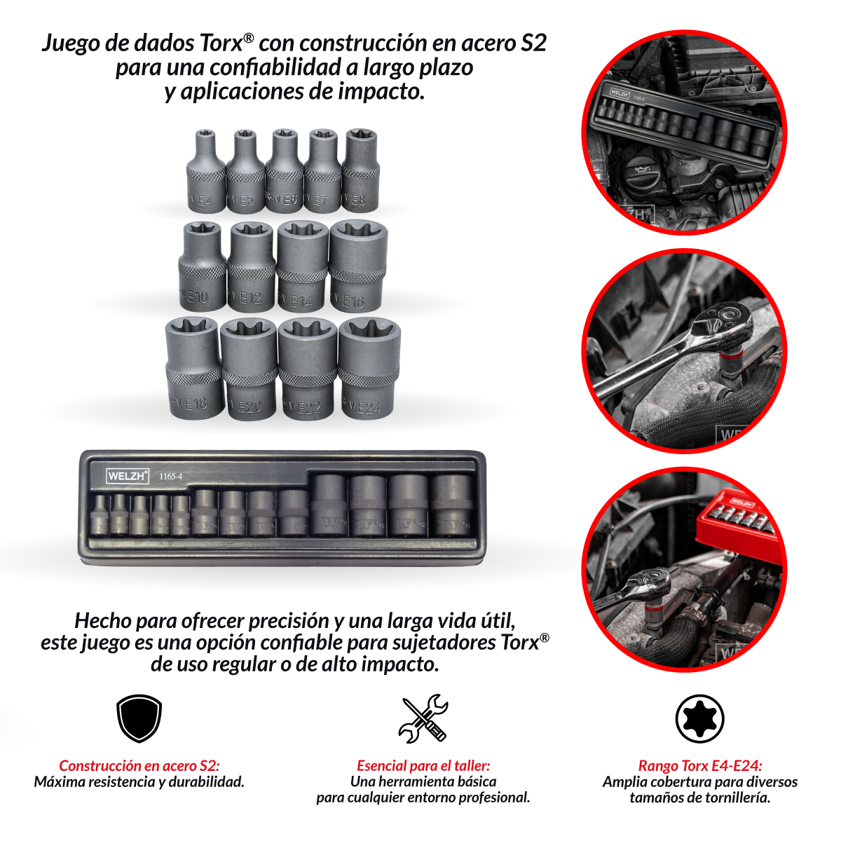 Juego de Dados, Torx® 3/8'', E4-E24, Acero S2 1165-4-WW