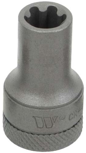 3/8''dr Dados para Puntas; Torx Plus Hembra; 12EP 1165-5-12EP-WW