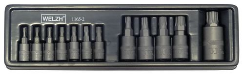 Juego de Dados, Puntas Torx? Plus, Acero S2, 8IP-60IP