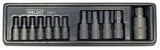 Juego de Dados, Puntas Torx? Plus, Acero S2, 8IP-60IP