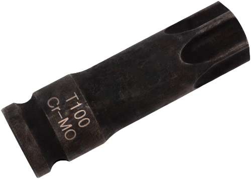 T100 Torx a prueba de manipulaciones;