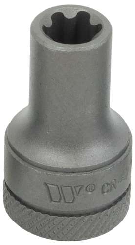 3/8''dr Dados para Puntas; Torx Plus Hembra; 11EP 1165-5-11EP-WW