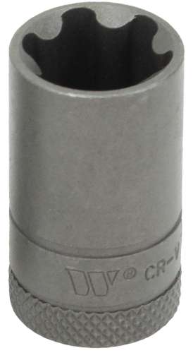 3/8''dr Dados para Puntas; Torx Plus Hembra; 20EP 1165-5-20EP-WW