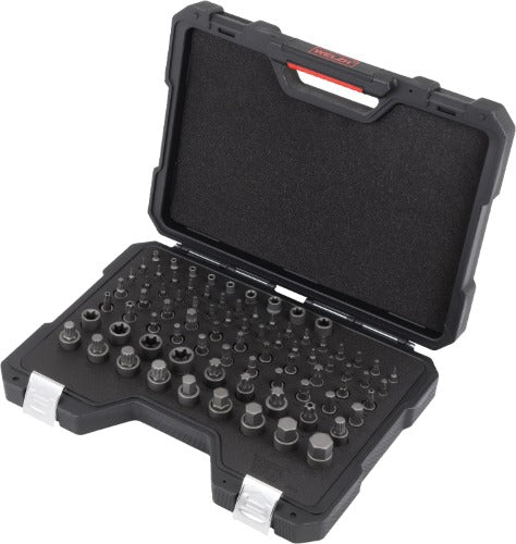 Juego maestro de dados para puntas; 81 piezas 5015-WW
