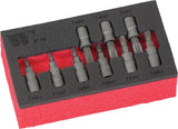 Juego de Dados de Puntas; Torx de 5 Lados Acero S2, TS10-TS50
