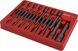 Juego de Dados Bit; Juego Torx® T6-70 Longitud 110 mm Acero SE-V