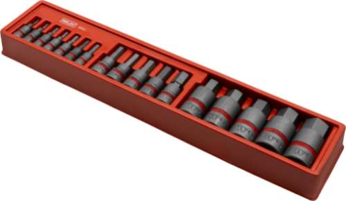 Juego Maestro de Dados de Puntas; Acero SE-V S2 Hexagonal 17 Piezas 4041-WW