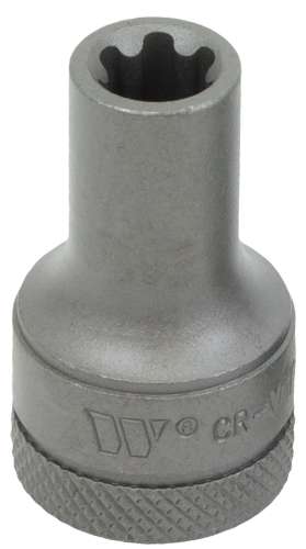 3/8''dr Dados para Puntas; Torx Plus Hembra; 10EP 1165-5-10EP-WW