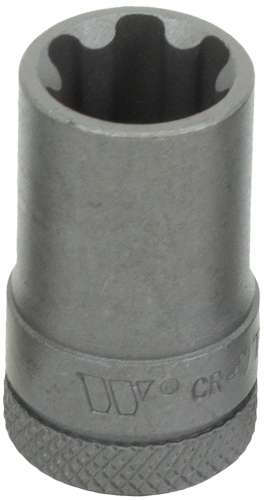 3/8''dr Dados para Puntas; Torx Plus Hembra; 18EP 1165-5-18EP-WW
