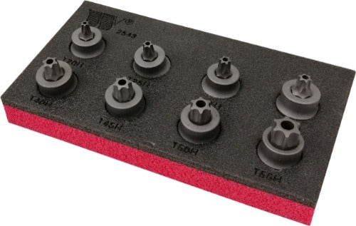 Juego de Dados de Puntas, Puntas Tamper Torx®, Acero S2 Perfil Extra Bajo T20H-T50H