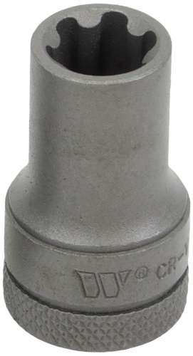 3/8''dr Dados para Puntas; Torx Plus Hembra; 14EP 1165-5-14EP-WW