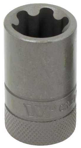 1/2''dr Dados para Puntas; Torx Plus Hembra; 22EP 1165-5-22EP-WW
