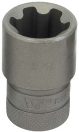 1/2''dr Dados para Puntas; Torx Plus Hembra; 26EP 1165-5-26EP-WW