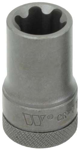 3/8''dr Dados para Puntas; Torx Plus Hembra; 16EP 1165-5-16EP-WW