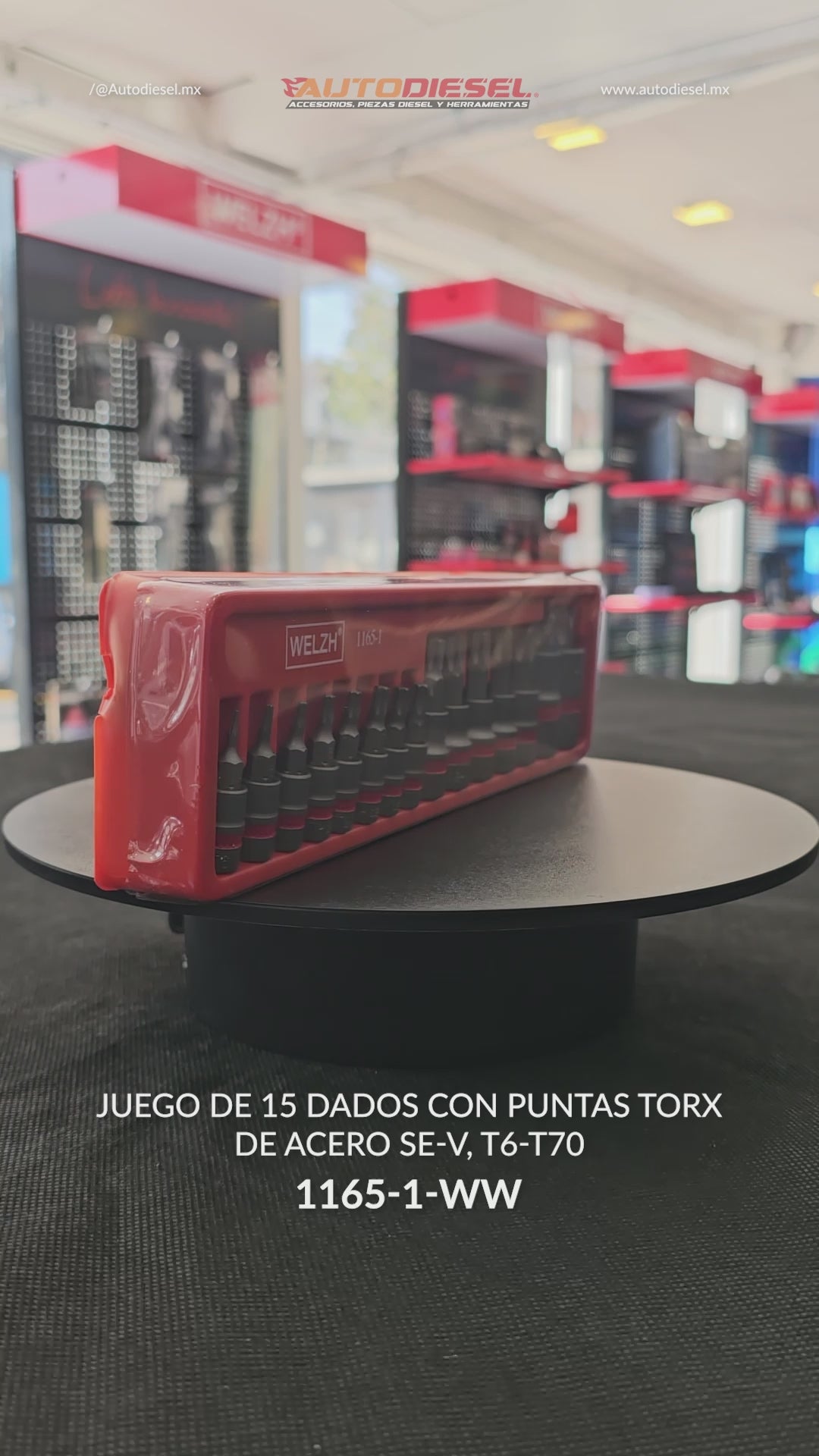 Juego de Dados con Puntas Torx Bit, Acero SE-V, T6-T70 1165-1-WW