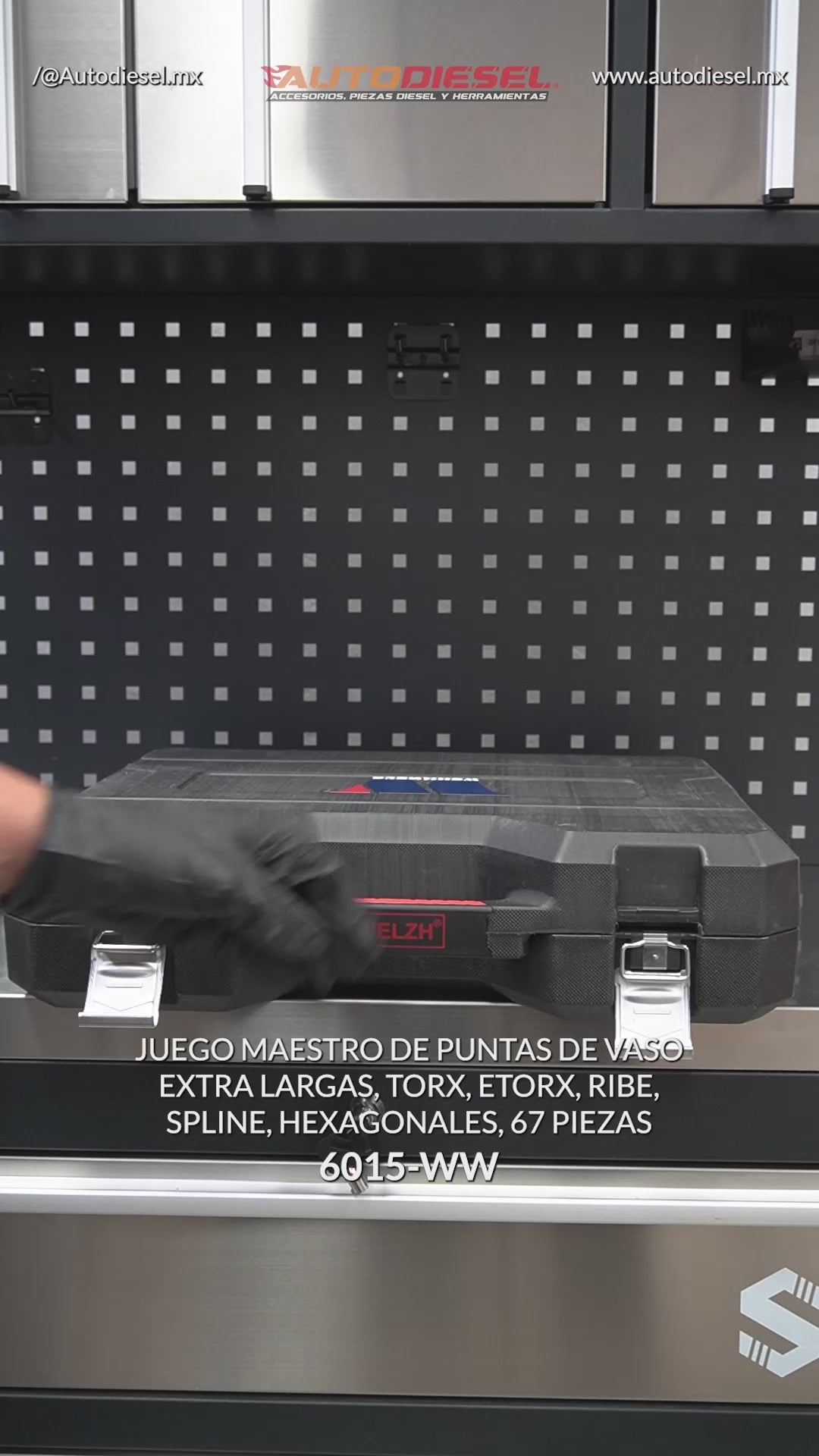 Juego maestro de puntas de vaso; 67 piezas extralargas, Torx, Etorx, Allen 6015-WW