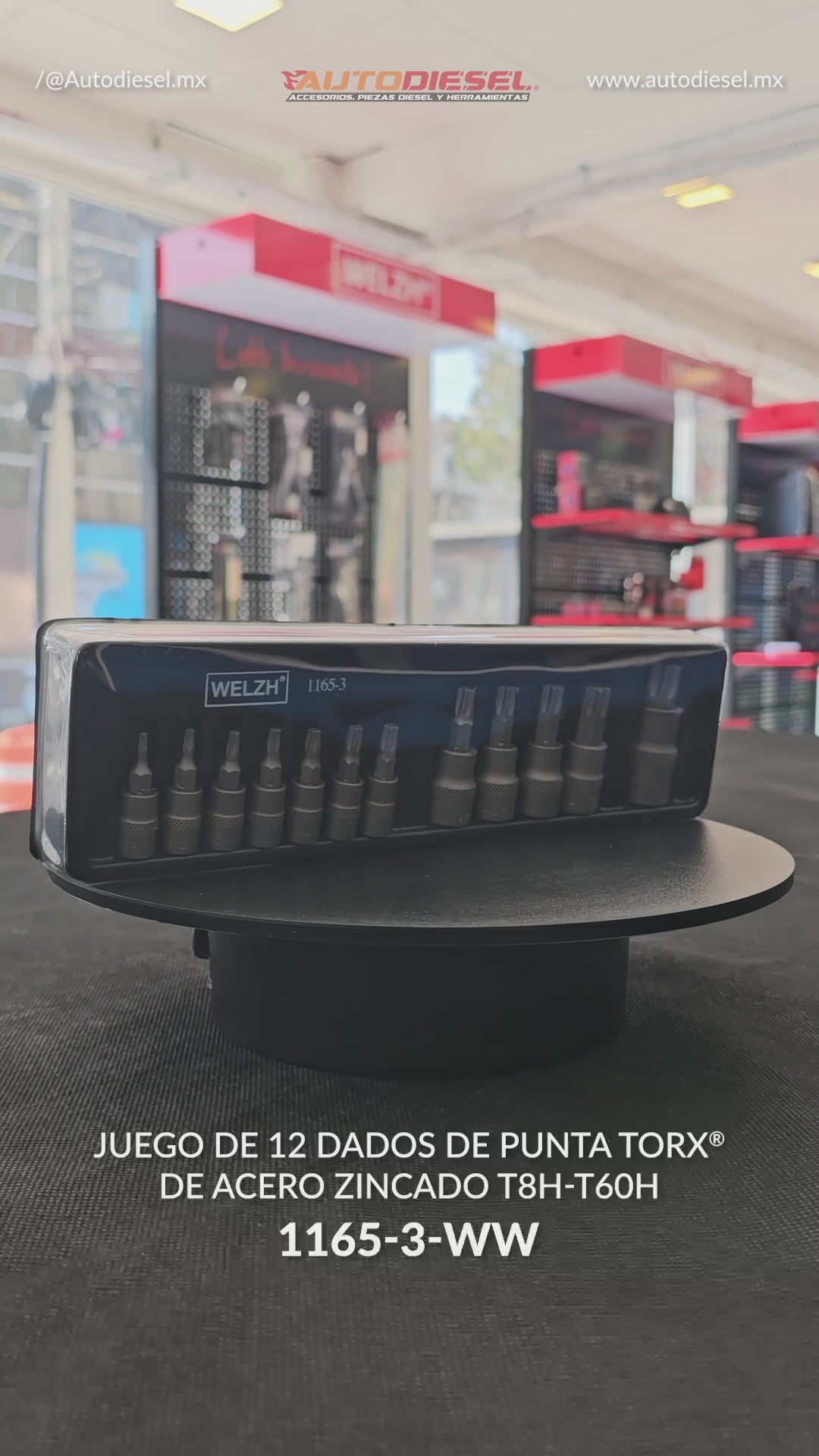 Juego puntas Torx de 12 piezas T8H-T60H S2 Acero zincado 1165-3-WW